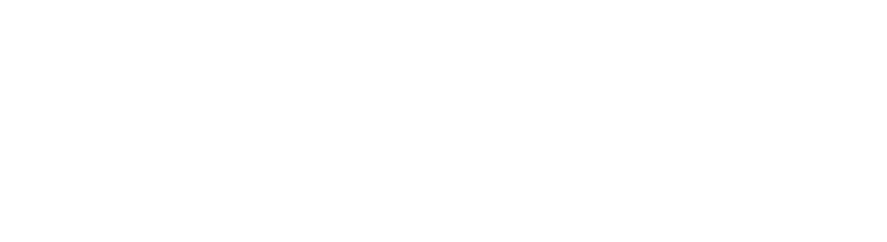 chas-everitt-logo-white